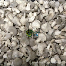IQF Baby Oyster Mushroom in High Quality